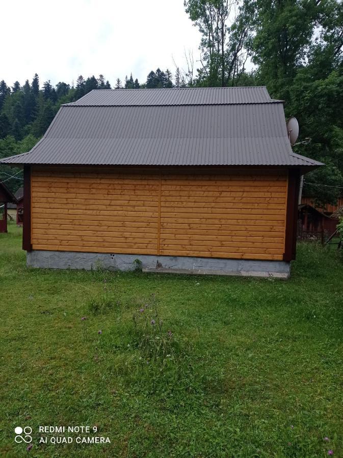 Садиба Брусний Mykulychyn Exterior foto